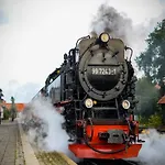 Harz In *