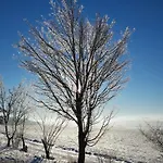 Harz In