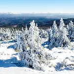 Holiday home Harz In