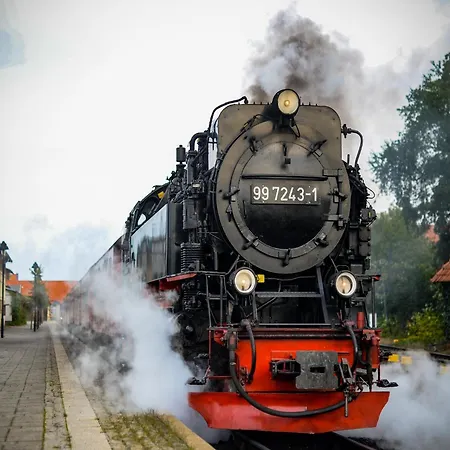 Harz In *